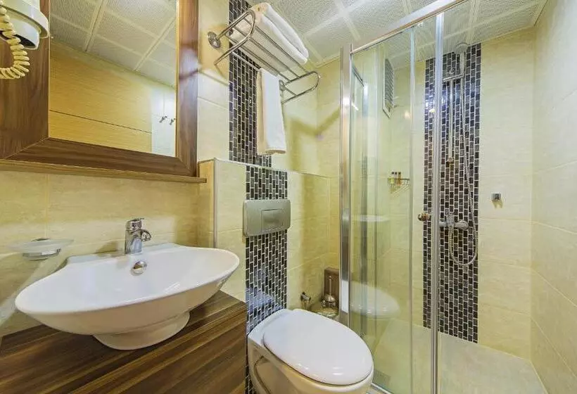 Fotos del hotel Pera Arya:  4