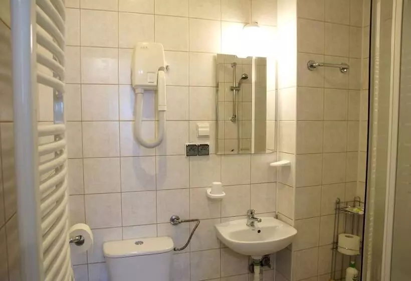 Fotos del hotel Pokoje Go?cinne Dom Literatury:  4