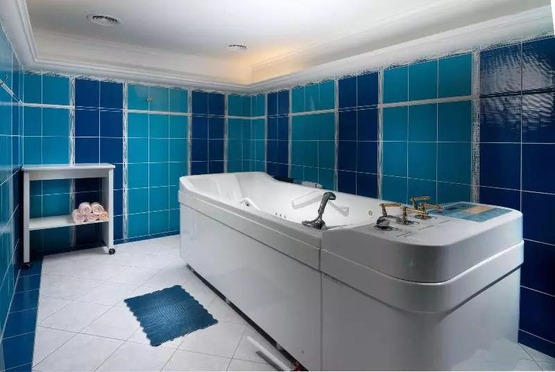 Fotos del hotel Ruze:  4