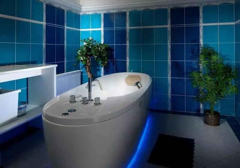 Fotos del hotel Ruze:  17