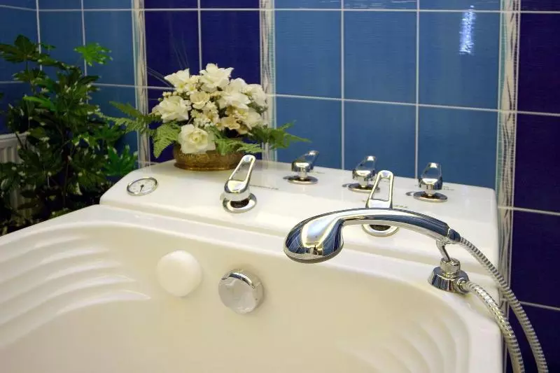 Fotos del hotel Ruze:  8