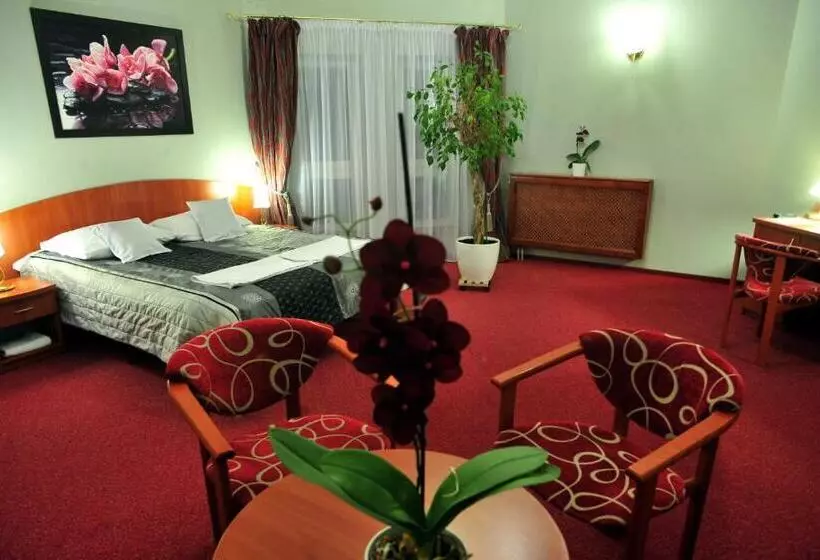 Fotos del hotel Z?ote D?by:  13