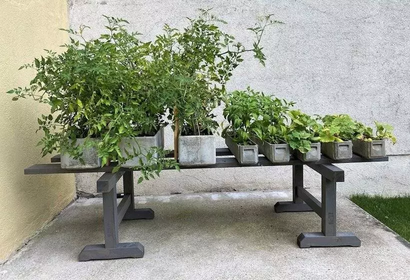 Fotos del hotel Das Jedermann Boutiquehotel Mit Stadtgarten:  12