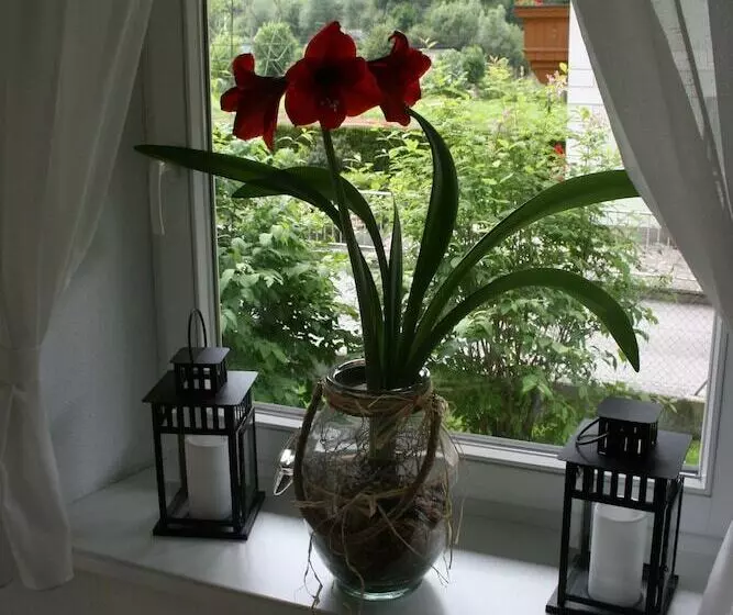 Fotos del hotel Apartments Rosenhof:  22