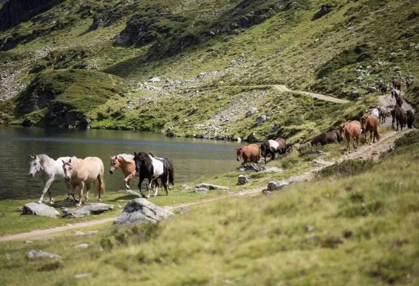 Fotos del hotel Seiterhof:  14