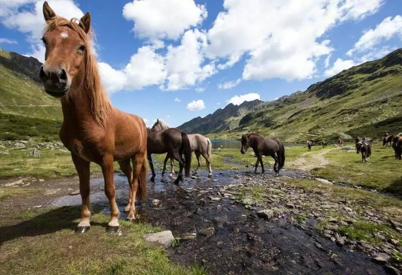 Fotos del hotel Seiterhof:  10