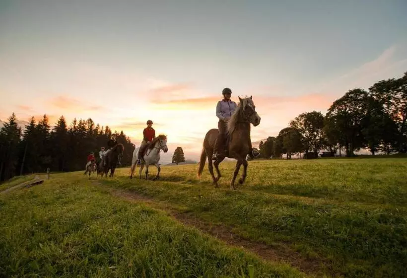 Fotos del hotel Seiterhof:  6