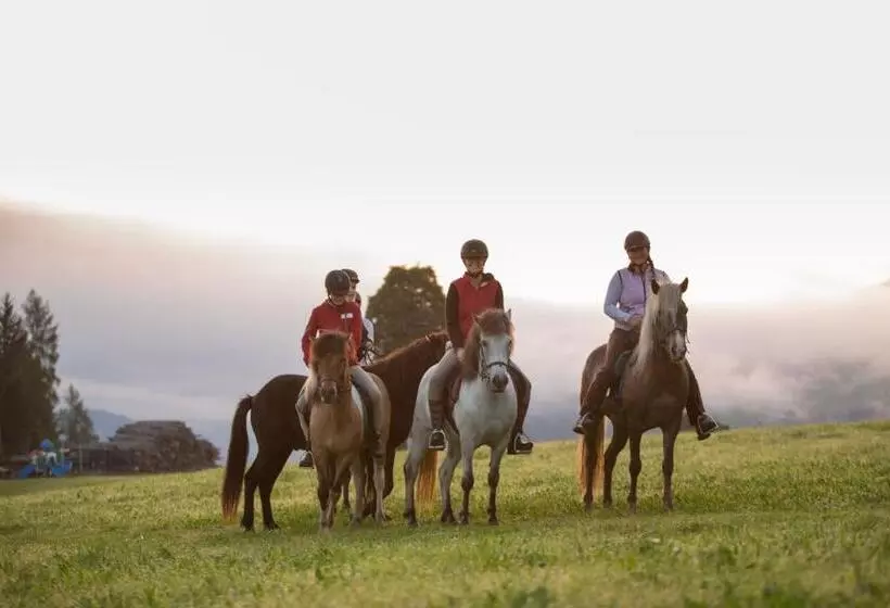 Fotos del hotel Seiterhof:  18