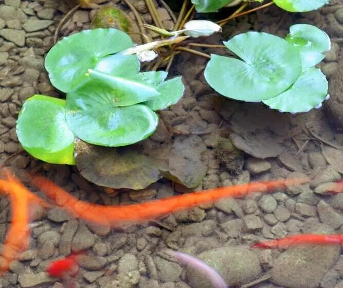 Fotos del hotel Maternushaus:  23
