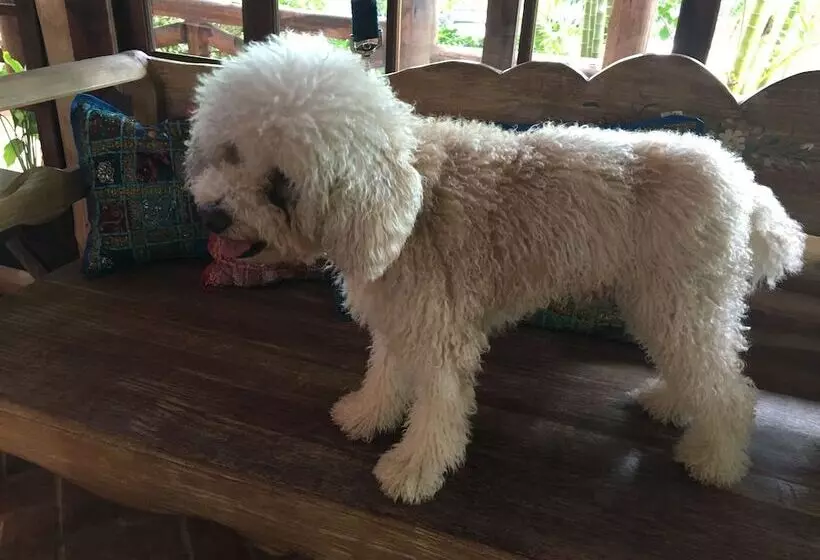 Fotos del hotel Pousada Villabella Villaggio:  8