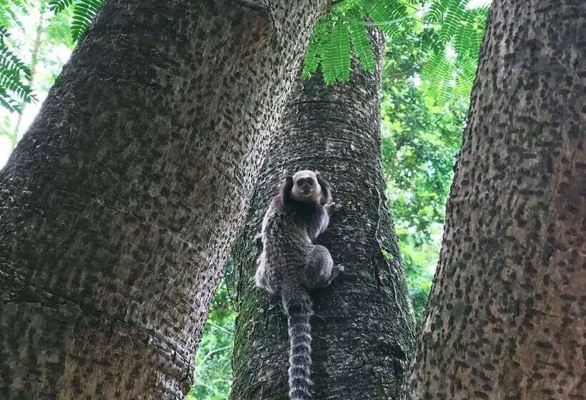 Fotos del hotel Pousada Villabella Villaggio:  17