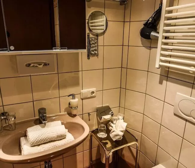 Fotos del hotel Adler Hotel Palma:  7