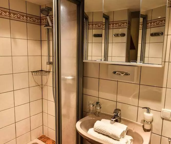 Fotos del hotel Adler Hotel Palma:  23