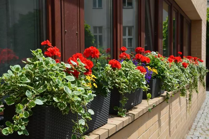 Fotos del hotel Aquino Berlin:  17