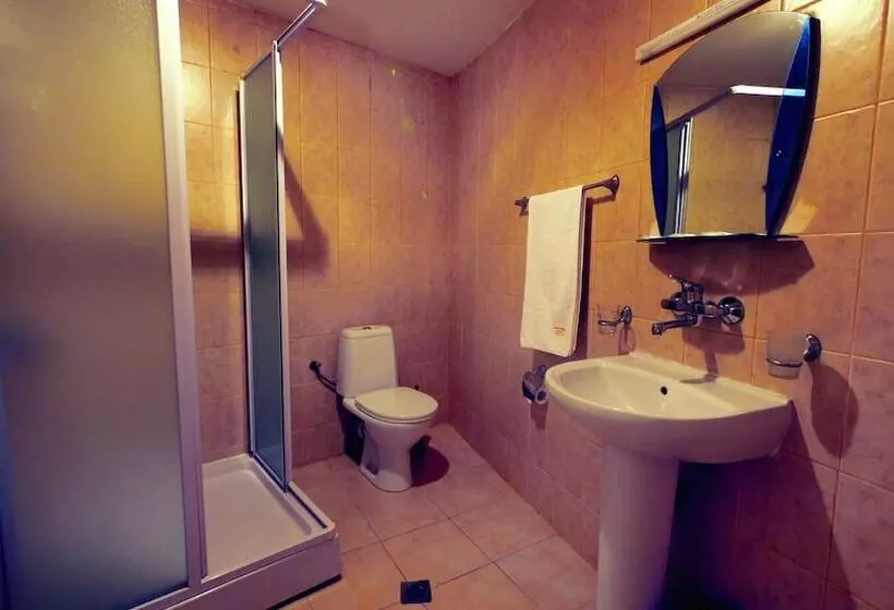 Fotos del hotel Alabin Central:  12