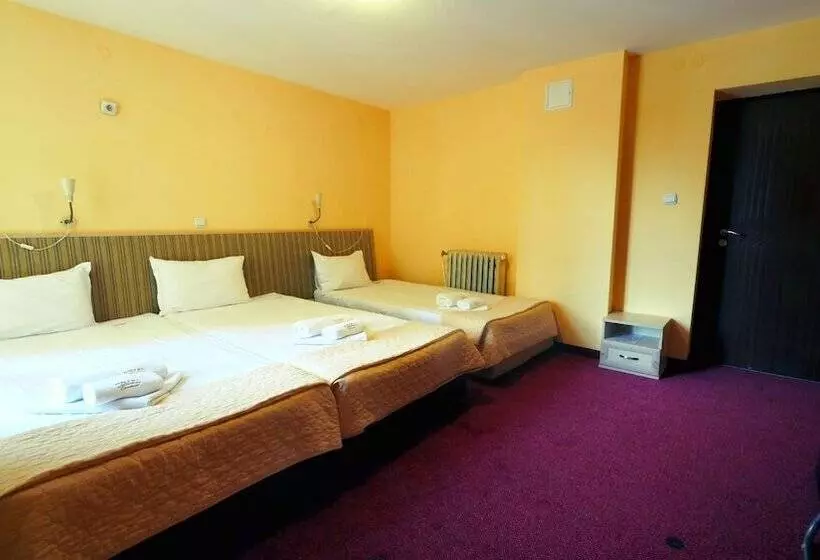 Fotos del hotel Alabin Central:  20