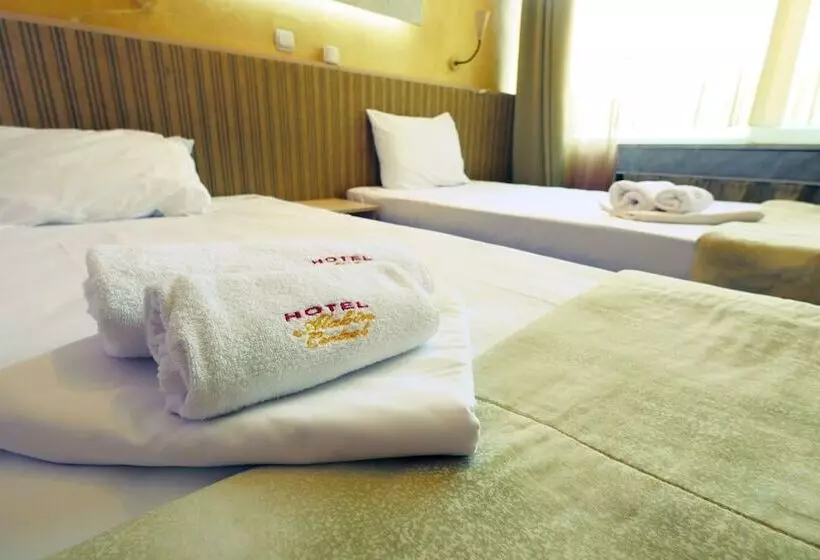 Fotos del hotel Alabin Central:  21