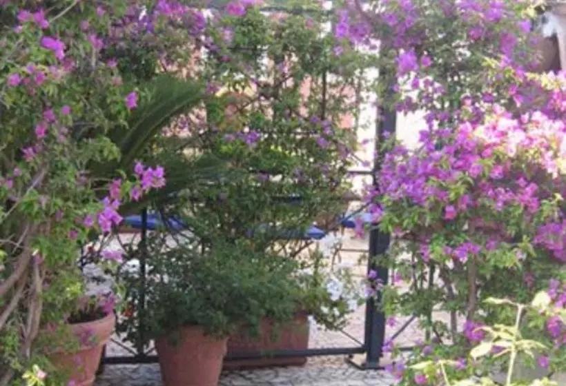 Fotos del hotel Celio:  19