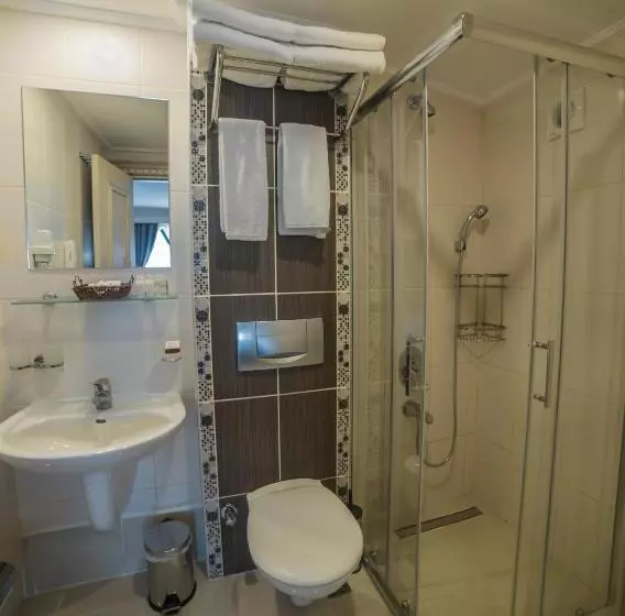 Fotos del hotel Sarnic Hotel & Sarnic Premier Hotel(ottoman Mansion):  12