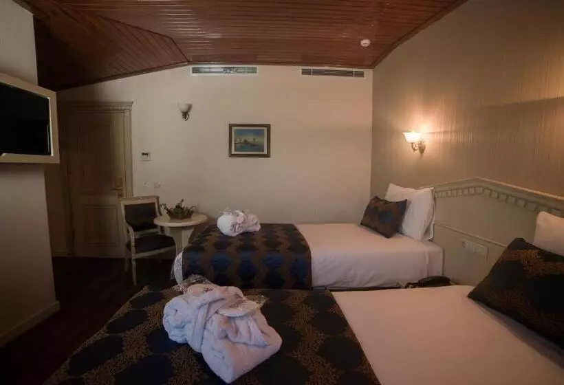 Fotos del hotel Sarnic Hotel & Sarnic Premier Hotel(ottoman Mansion):  8