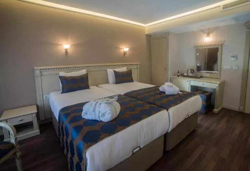 Fotos del hotel Sarnic Hotel & Sarnic Premier Hotel(ottoman Mansion):  13