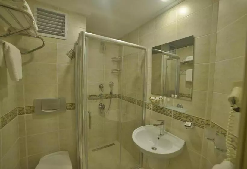 Fotos del hotel Sarnic Hotel & Sarnic Premier Hotel(ottoman Mansion):  6