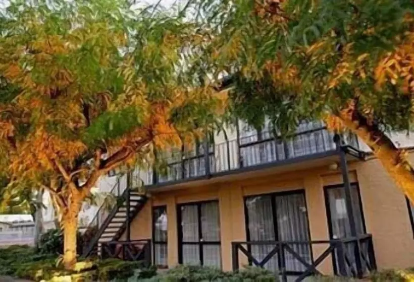 Fotos del hotel Avalon Court Accommodation:  3