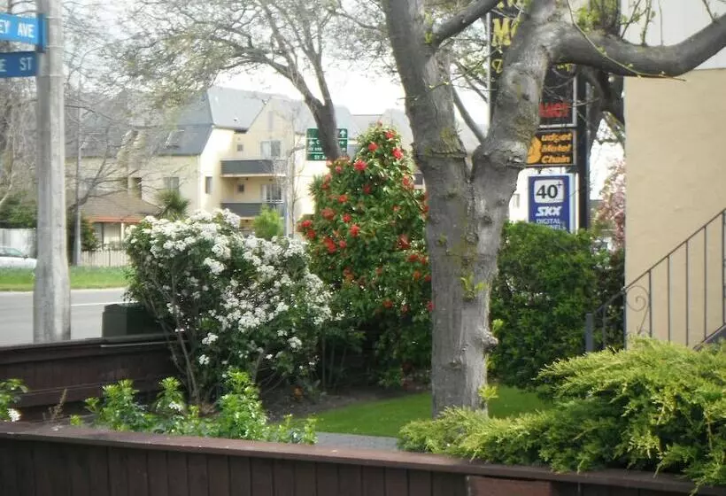 Fotos del hotel Avalon Court Accommodation:  16