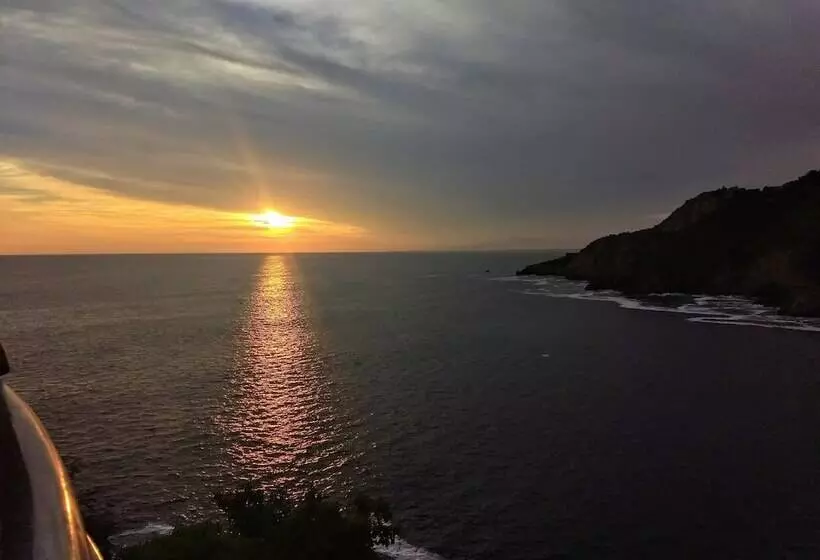 Fotos del hotel Capital O  El Mejicano:  6