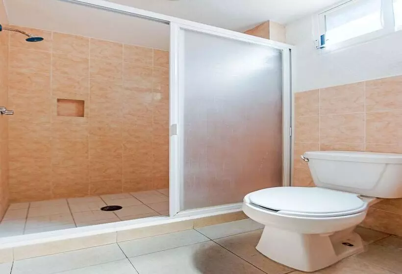 Fotos del hotel Capital O  El Mejicano:  10