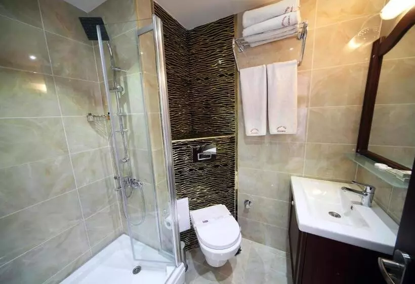 Fotos del hotel Istanbul Newcity:  6