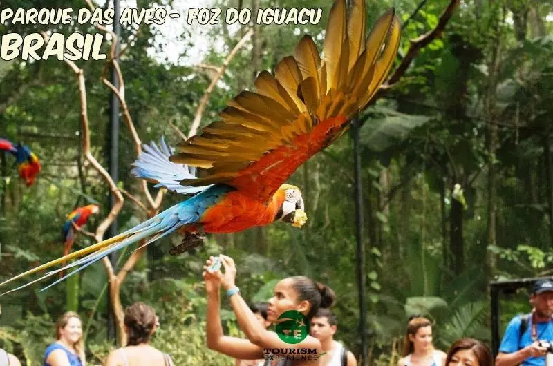 Fotos del hotel Tupa Apart:  15