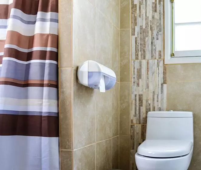 Fotos del hotel Don Santiago Providencia:  4