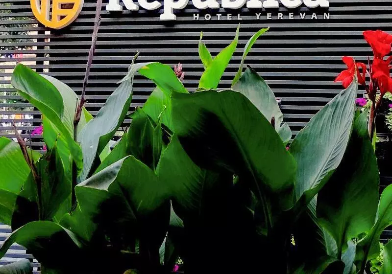 Fotos del hotel Republica  Yerevan:  6