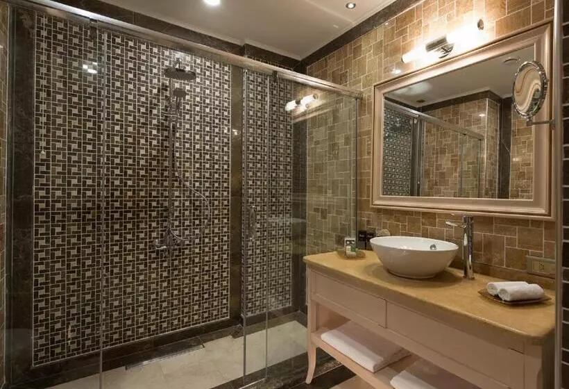 Fotos del hotel Divan Suites Batumi:  13