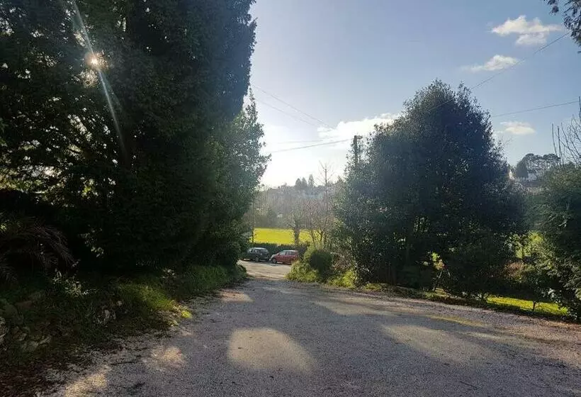 Fotos del hotel The Bahamas:  7