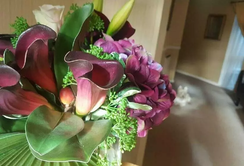 Fotos del hotel The Bahamas:  6