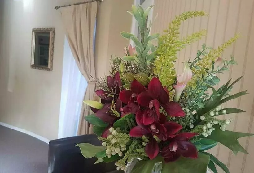 Fotos del hotel The Bahamas:  25