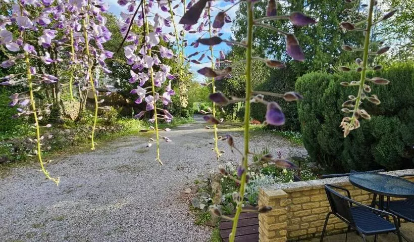 Fotos del hotel The Bahamas:  12