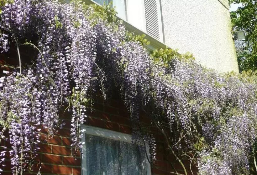 Fotos del hotel The Bahamas:  24