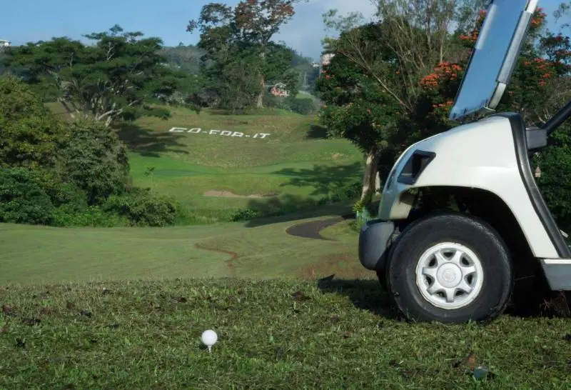 Fotos del hotel Canyon Woods Resort Club:  14