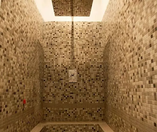 Fotos del hotel Royal Suite Du Vatican:  4