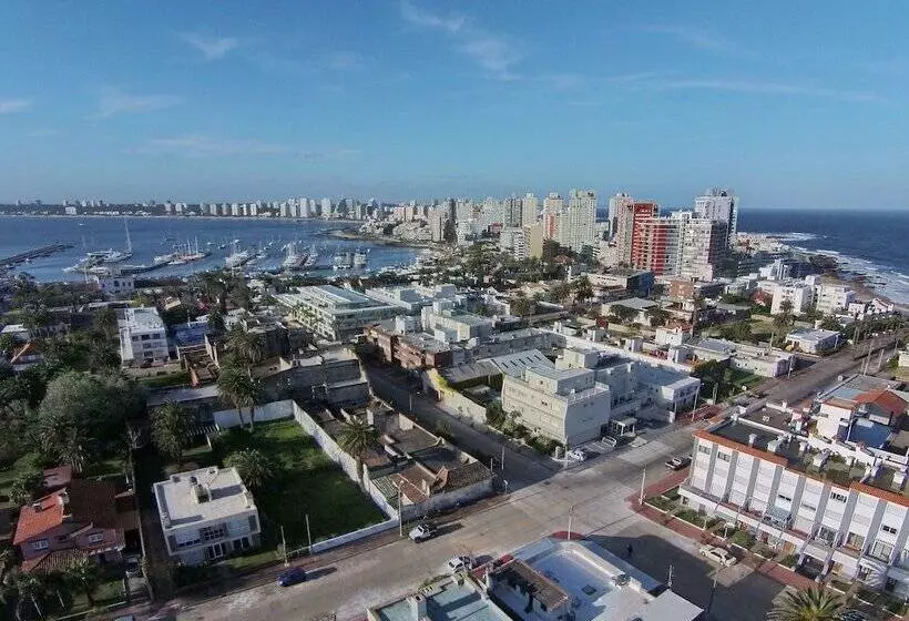 Fotos del hotel Atlántico Boutique:  7