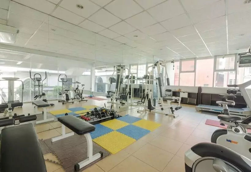 Fotos del hotel Boss Mansion:  12