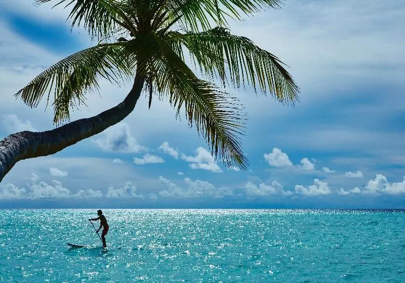 Fotos del hotel Como Maalifushi:  4