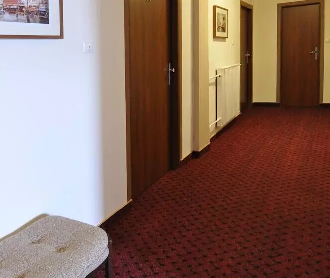 Fotos del hotel Wilhelm:  24