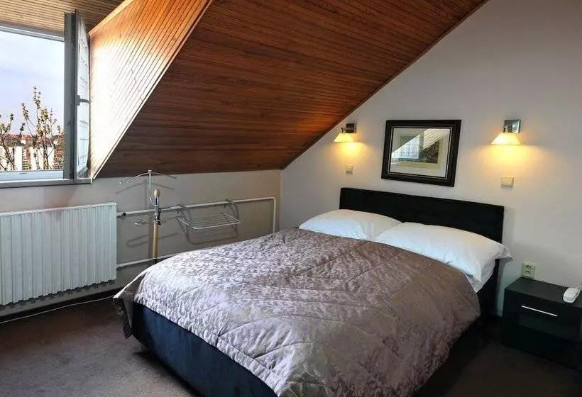 Fotos del hotel Wilhelm:  22