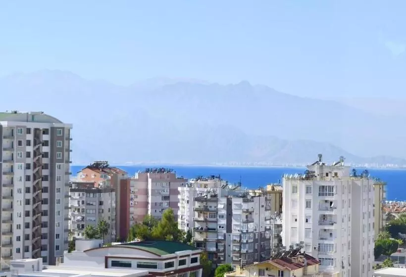 Fotos del hotel City Live:  8