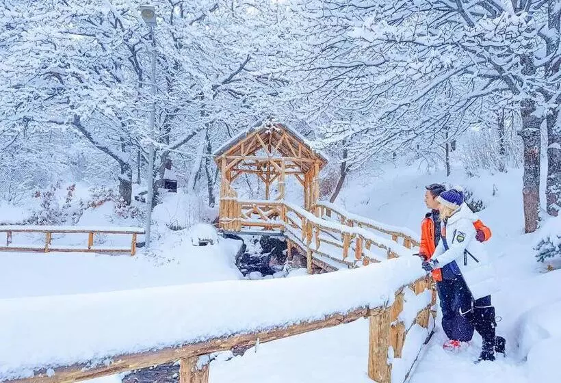 Fotos del hotel Alva  & Spa:  25