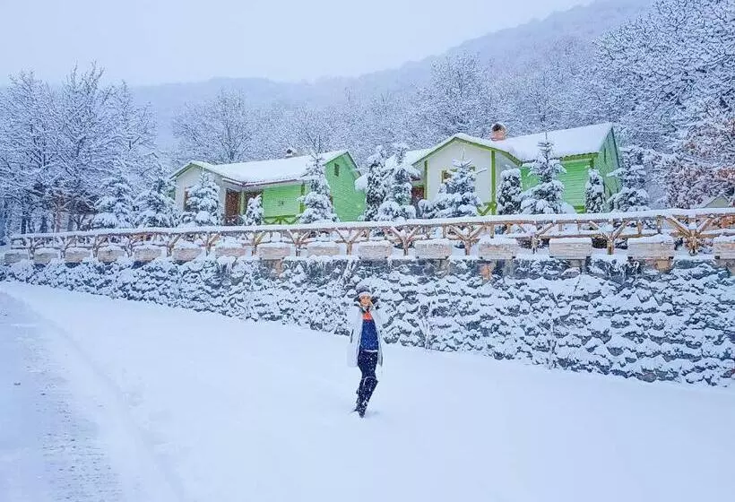 Fotos del hotel Alva  & Spa:  22